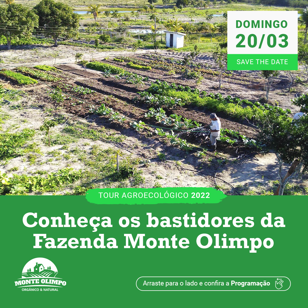 Criativo para FEED Tour Agroecologico Bastidores Monte Olimpo - Carrossel 1